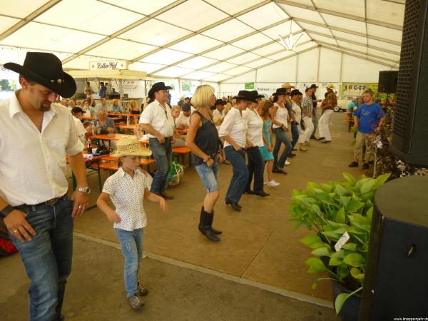 Oldtimertreff Linzgau 66