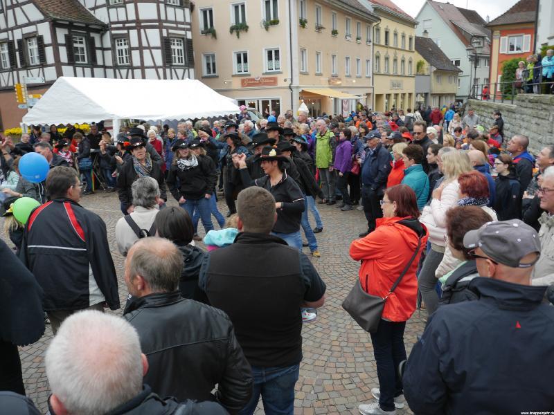 Markdorf 44