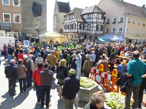 Markdorf 106