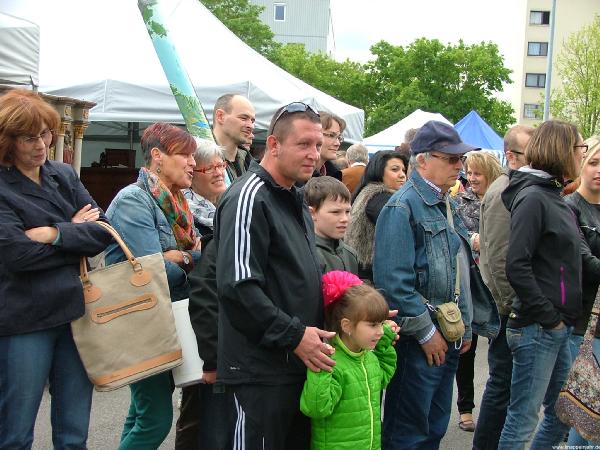 Riedlingen 11