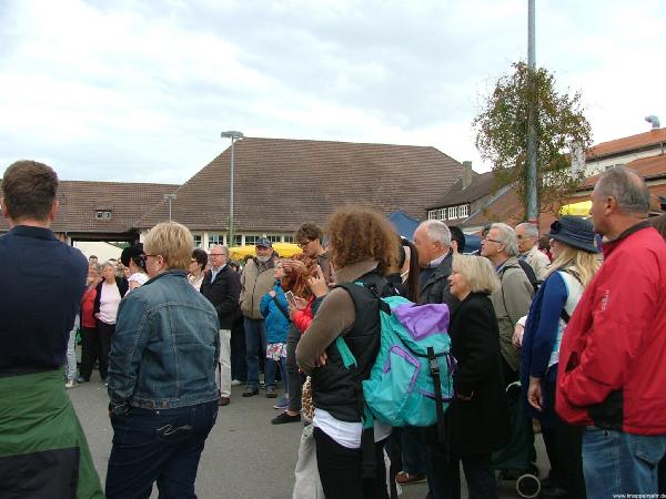 Riedlingen 55