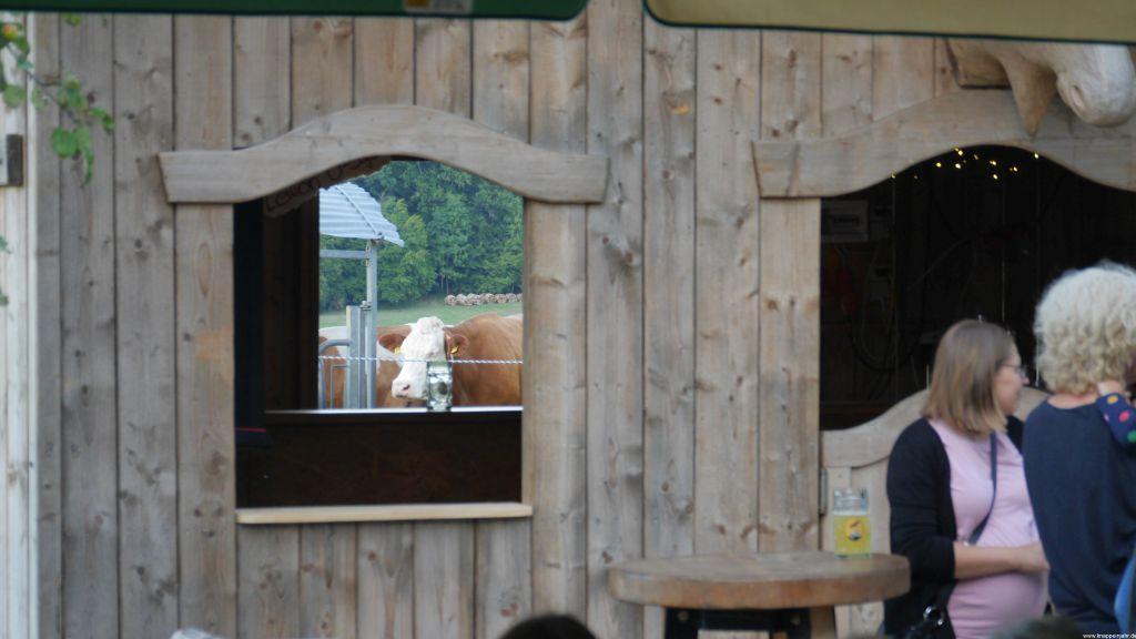 20220820 Holzmannhof09