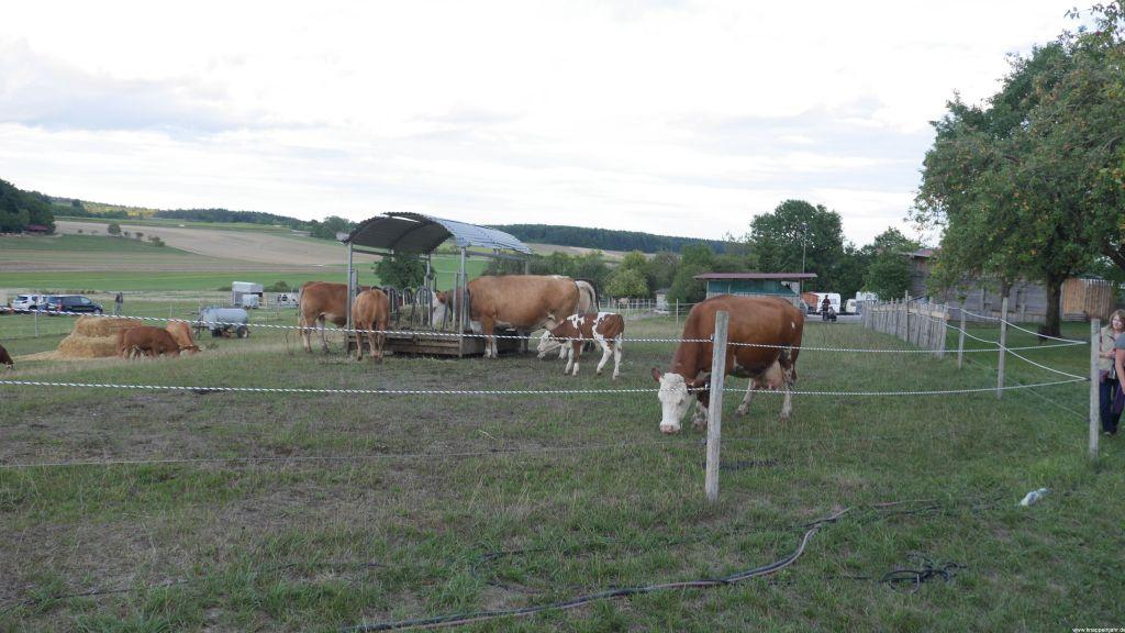 20220820 Holzmannhof13